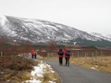 Glen Feshie